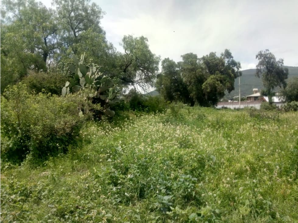 Terreno en renta, San Antonio de las Palmas. - 1