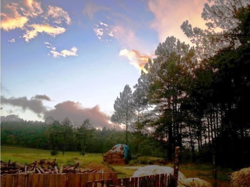 Terreno en Venta en Zacatlán de las Manzanas ! - 1