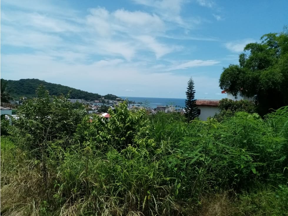GRAN PPORTUNIDAD DE TERRENO EN GUAYABITOS - 1