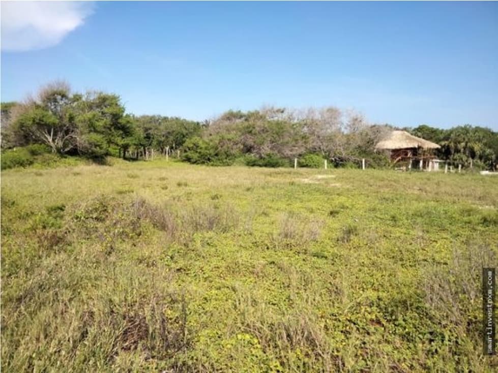 La grúa, Chacahua / 600 M2 / A 1 cuadra de la Playa - 1