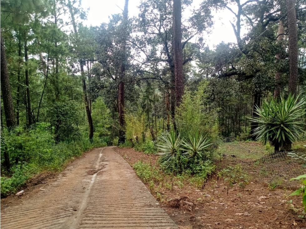 TERRENO FONTANA ZARCA - 1