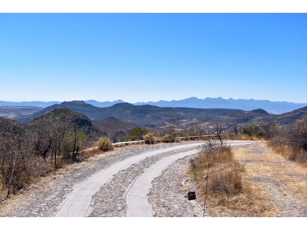 30 Hectáreas En La Sierra De Montoro - 1