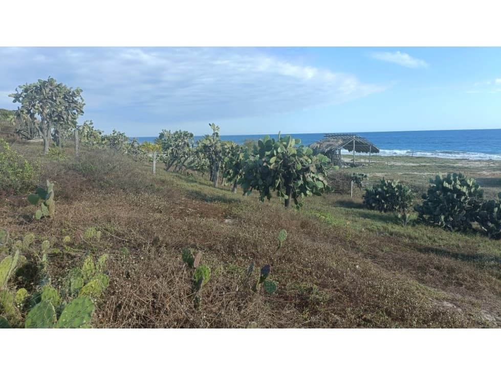 TERRENO CON FRENTE DE PLAYA EL VENADO A 30 MIN. PUERTO ESCONDIDO - 1