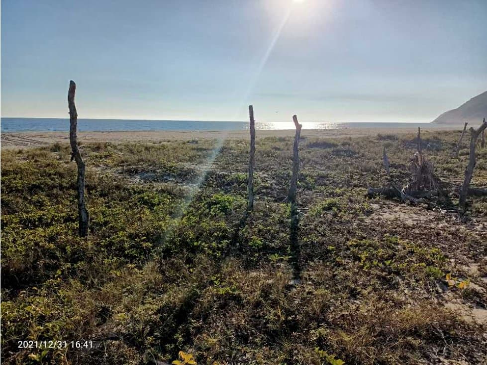 Cerro hermoso/ 1000 m² frente de playa/ zona turística - 1