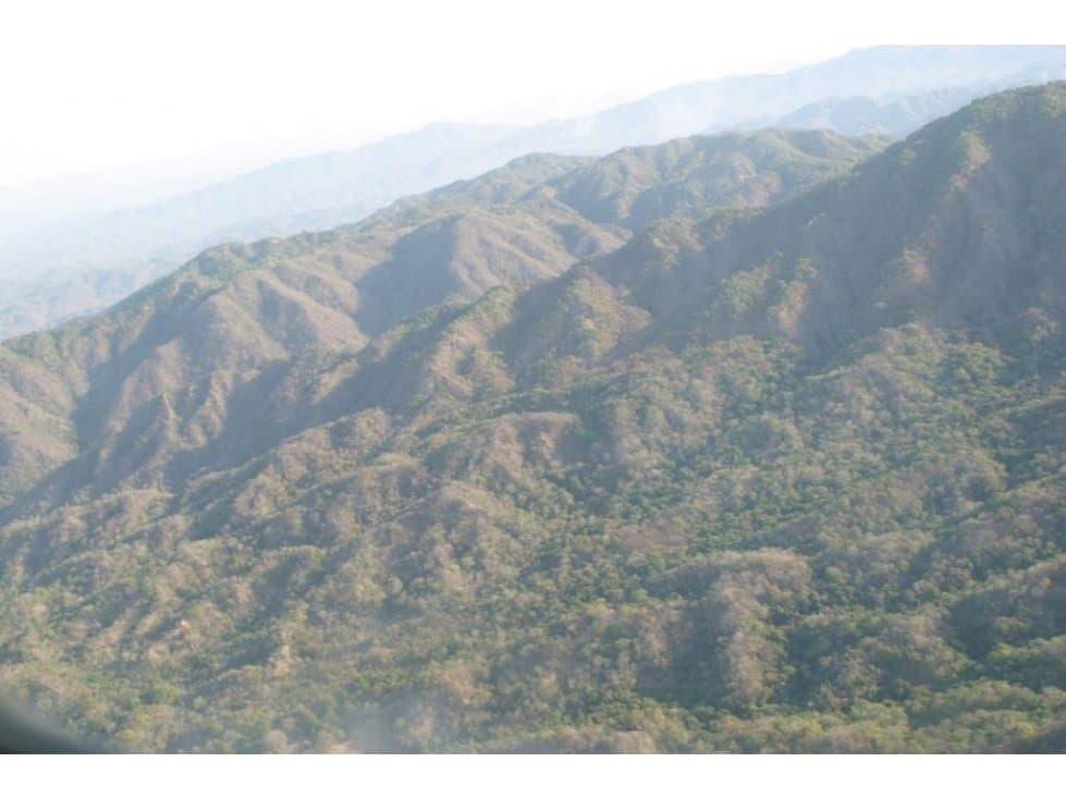 TERRENO DE 600 HECTAREAS  IDEAL PARA AGRICULTURA - 1