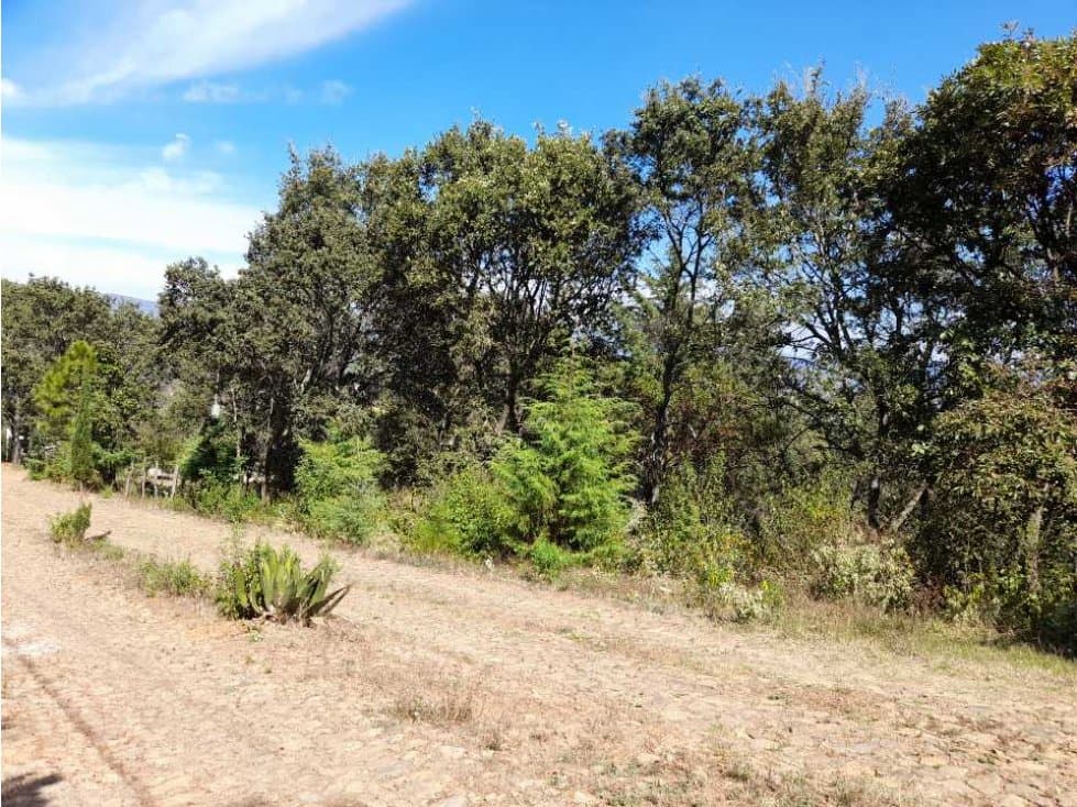 Terreno en venta el Zitunero Pátzcuaro - 1