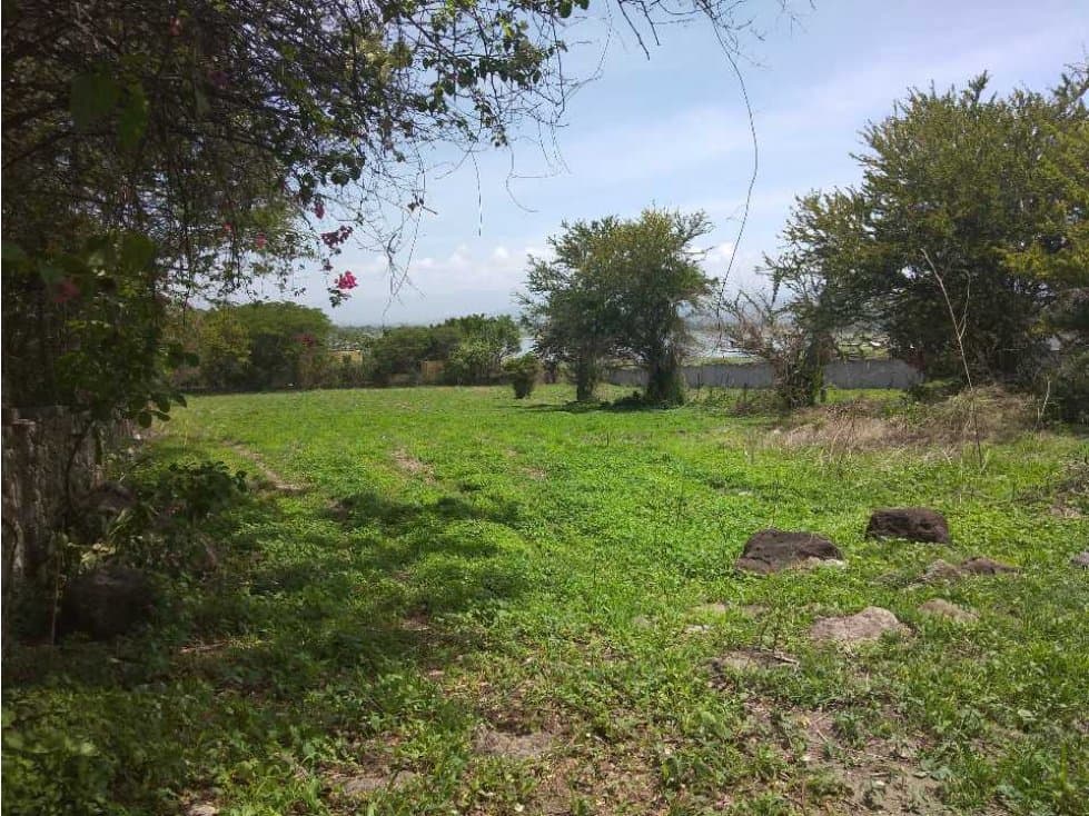 Terreno en la Laguna de Miacatlán Morelos - 1