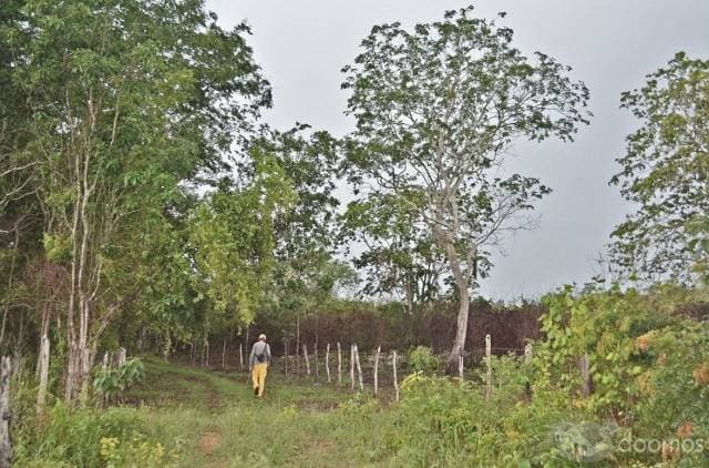 Terreno Venta Espita Yucatan 22 hectáreas - 1