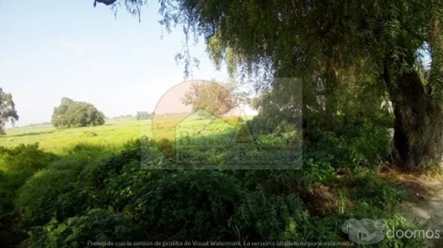 Se vende Terreno en Jaltenco - 1