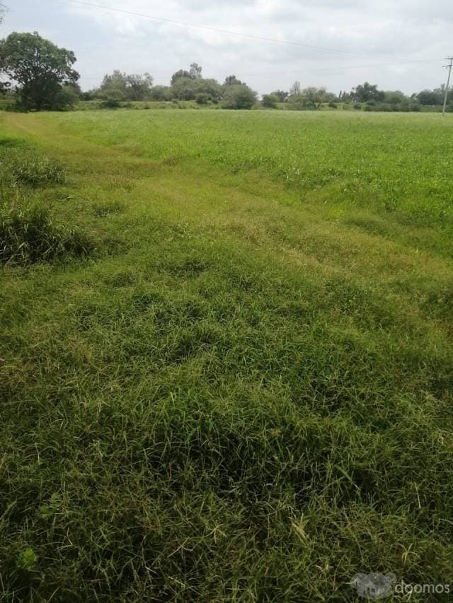 Rancho en venta Silao Gto., - 1