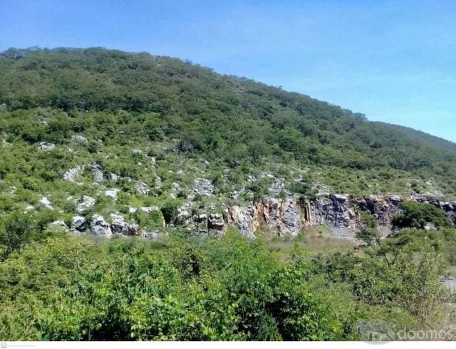 Banco de Mineral (Piedra Caliza) - 1