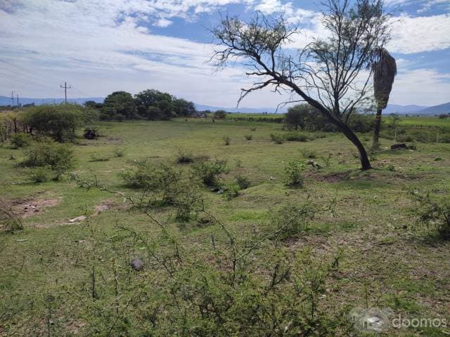 Terreno en venta en Ameca, Jalisco. - 1