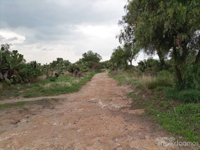 Se vende Terreno en San Andrés Teotihuacán - 1