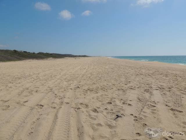 Terreno en Venta en La Boquita Tomatlán 20 HA - 1