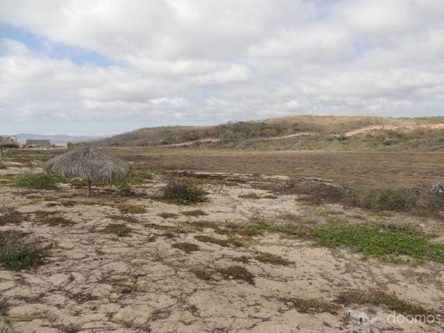Terreno en Venta en La Boquita Tomatlán 37 HA - 1