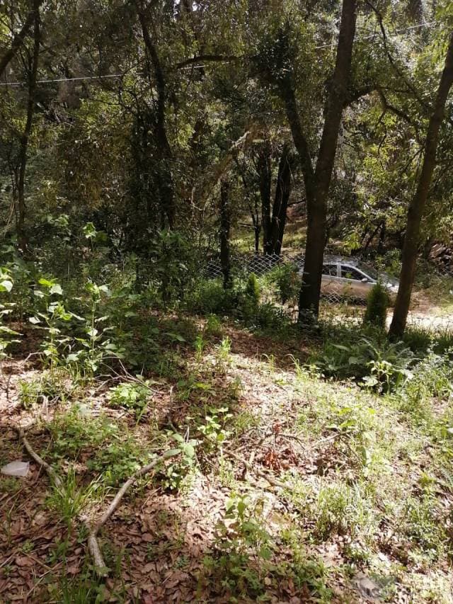 Terreno cerca de Real del Monte Hidalgo - 1