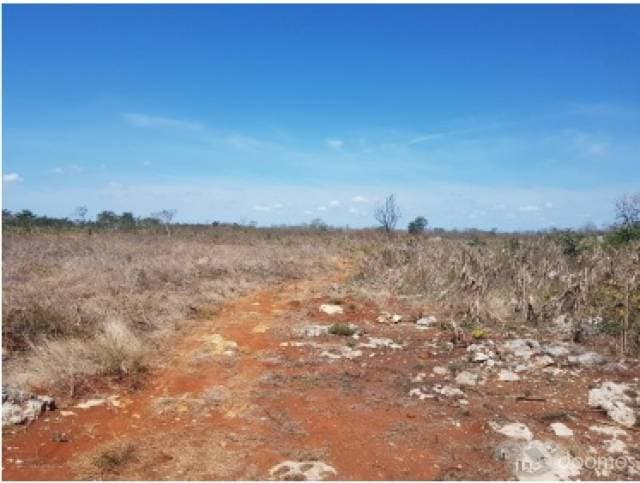 En Venta Tierras Rojas Agrícolas o Para Desarrollar Viviendas - 1