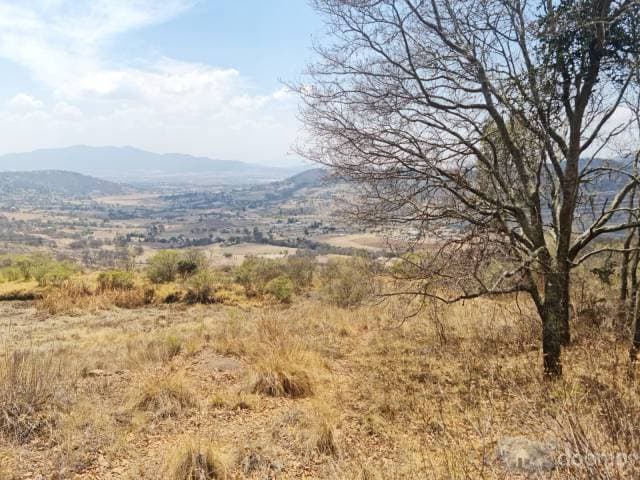 Excelente Oportunidad De Inversion En Amealco - 1