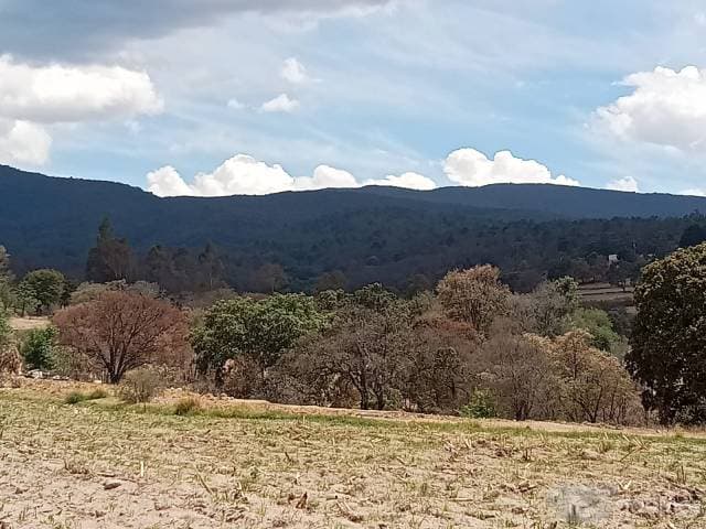 CIMA DE CERRO, POCAS OPORTUNIDADES COMO ESTA - 1