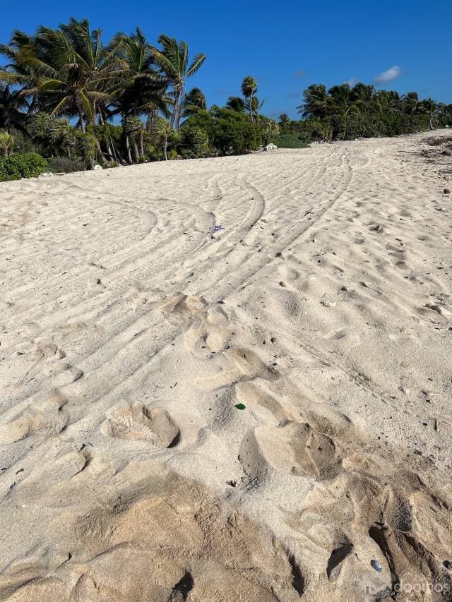 Venta de 5 Hectáreas en el Caribe Mexicano - 1