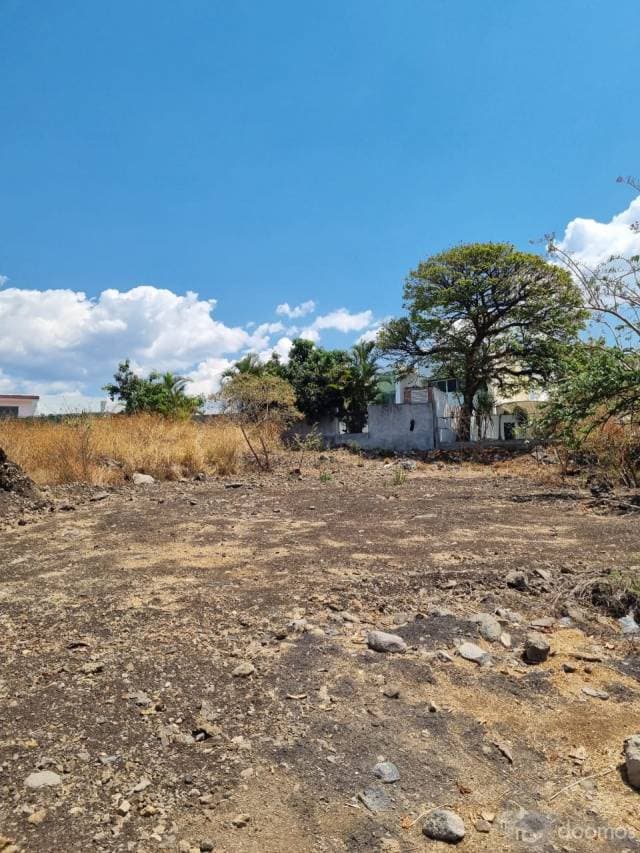 Terreno en el Fraccionamiento Lomas de Cocoyoc, Municipio de Atlatlahucan, Morelos. - 1
