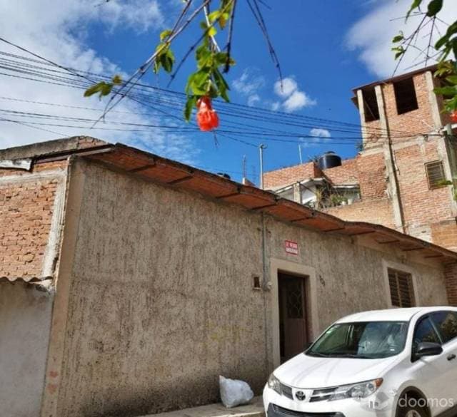 casa grullo - 1