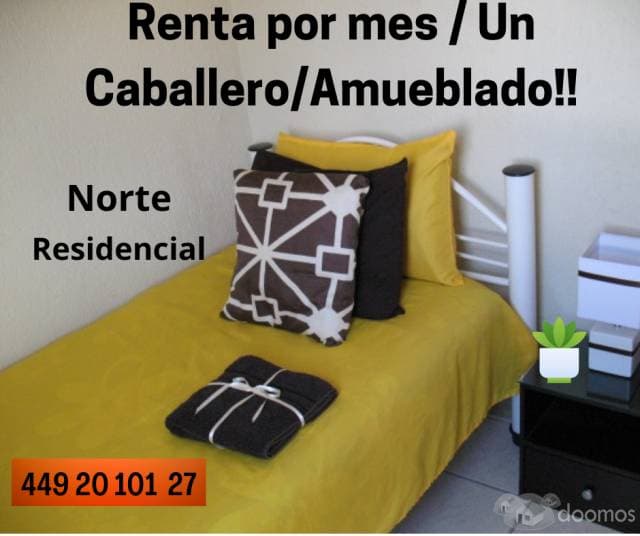 RENTA AMUEBLADO AGUASCALIENTES  /Dpto. /Norte. PARA UN CABALLERO   /Garaje/ Internet. Incluye servicios - 1