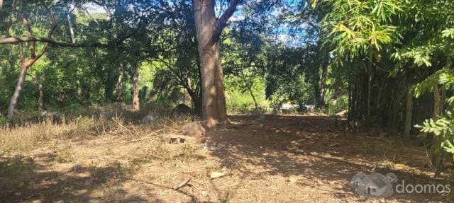 VENDO TERRENO EN SAN QUINTIN CERCA SAYULITA. - 1