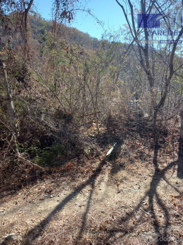 Zihuatanejo Ampliacion playa La Ropa terreno en Venta 400 m2 T515 - 1