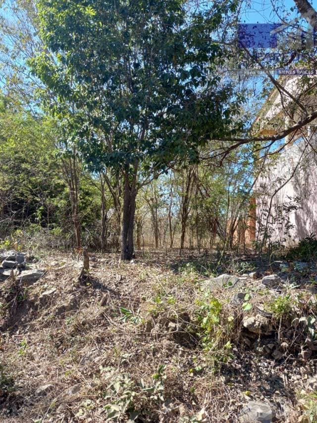 Terreno en Venta 140 m2 el Capire Zihuatanejo T514 - 1