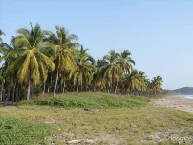 Pantla cerca Ixtapa 6 Has en venta con 300 m2 frente de playa T537 - 1