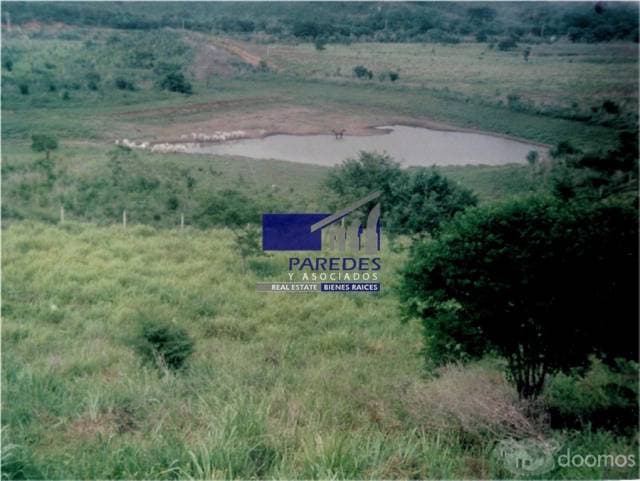 Pantla Terreno en Venta 219.67 Hectareas frente a carretera T538 - 1