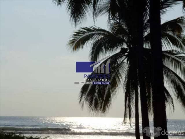 Pantla zona Ixtapa 113 hectareas con 800 m2  frente de playa T539 - 1