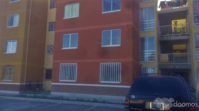 !!!ACOJEDOR DEPARTAMENTO¡¡¡ - 1