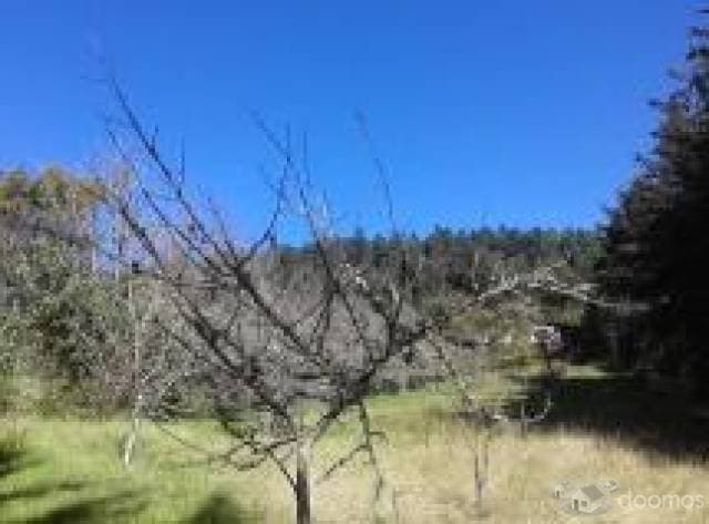 Rancho Nueva Escocia en venta - 1