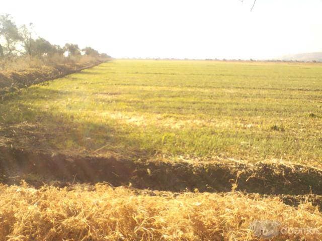 Rancho en venta Cuerámaro Gto. - 1