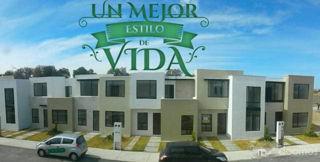 Privadas en soledad - 1