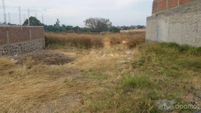 Terreno en Venta en Col. San Martín, Zapotlanejo. - 1