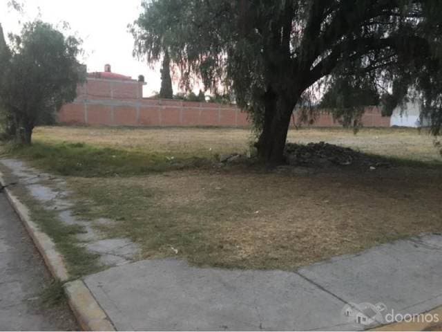 TERRENO EN PAPALOTLA - 1