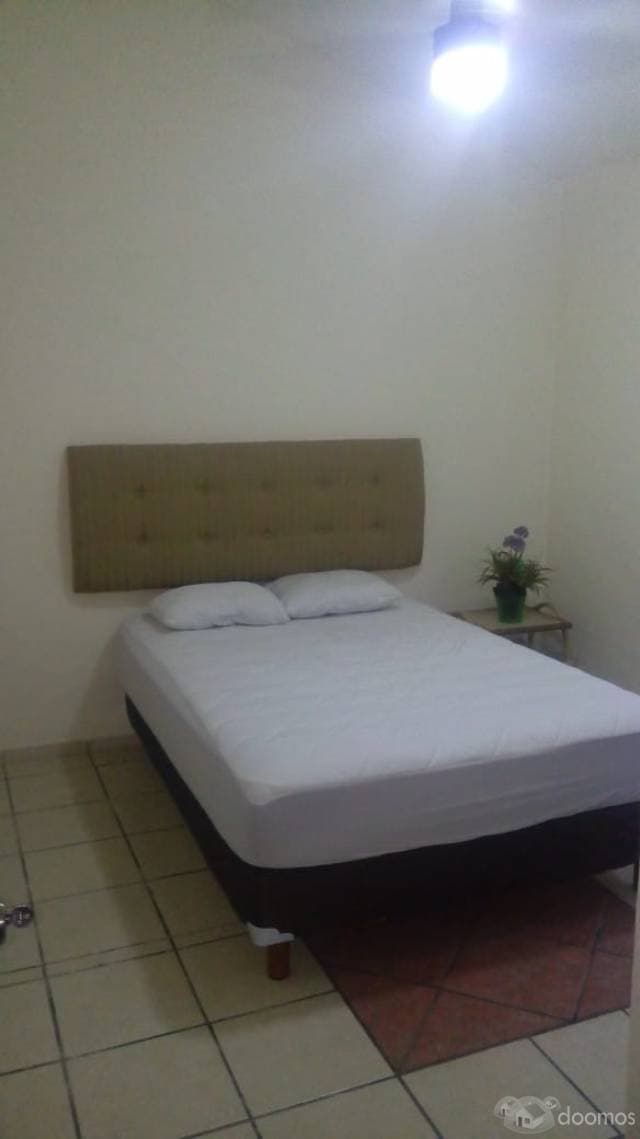 DEPARTAMENTO AMUEBLADO EN RENTA - 1