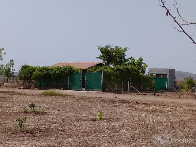 Terreno campestre junto a Carboneras y campestre "El Toro". - 1