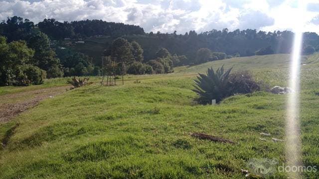 Propiedad privada en venta. "Rancho" Ubicado en la Nueva Santa Maria, Municipio de Texcaltitlan. - 1