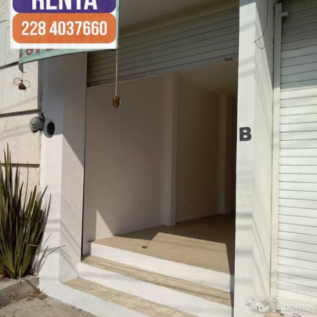 Local Nuevo en renta - 1
