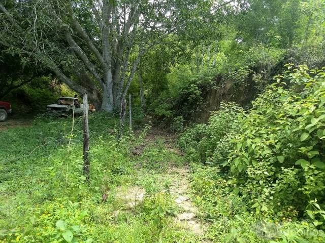LOTE CAMPESTRE EN VENTA  A 20 MINUTOS DE PUERTO VALLARTA - 1