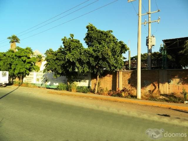 TERRENO EN VENTA POR DREN JUAREZ CASI ESQ. BLVD. JIQUILPAN LOS MOCHIS SINALOA - 1