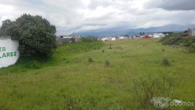 TERRENO PLANO SOBRE AVENIDA EN SAN ANTONIO LA ISLA - 1