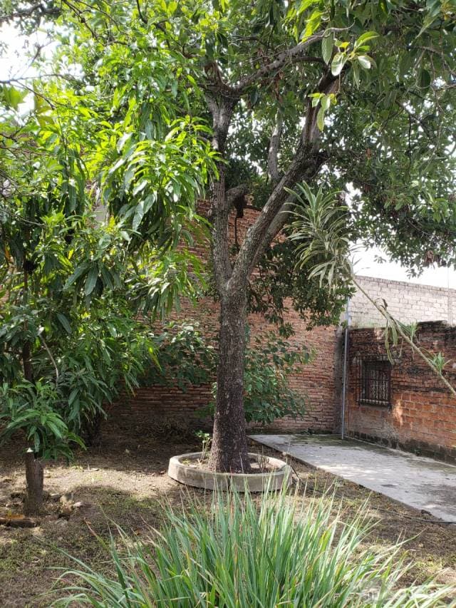 Increíble casa en venta en Acatlán de Juárez - 1