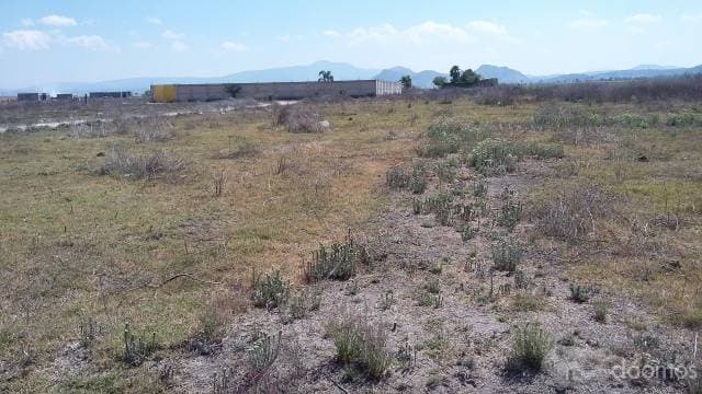 TERRENO EN VENTA CUISILLOS JAL - 1