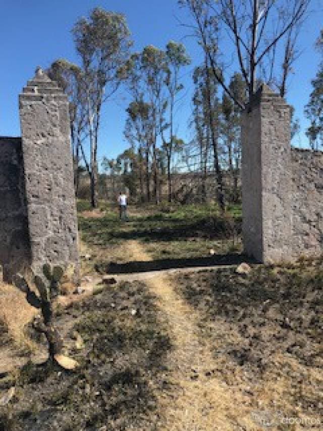 Terreno en Taxhie, Polotitlán, Estado de México. - 1