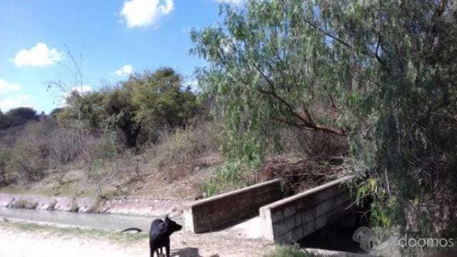 La Firma Real State Vende Terreno para Fraccionamiento en Salto de los Salados con Agua Potable - 1